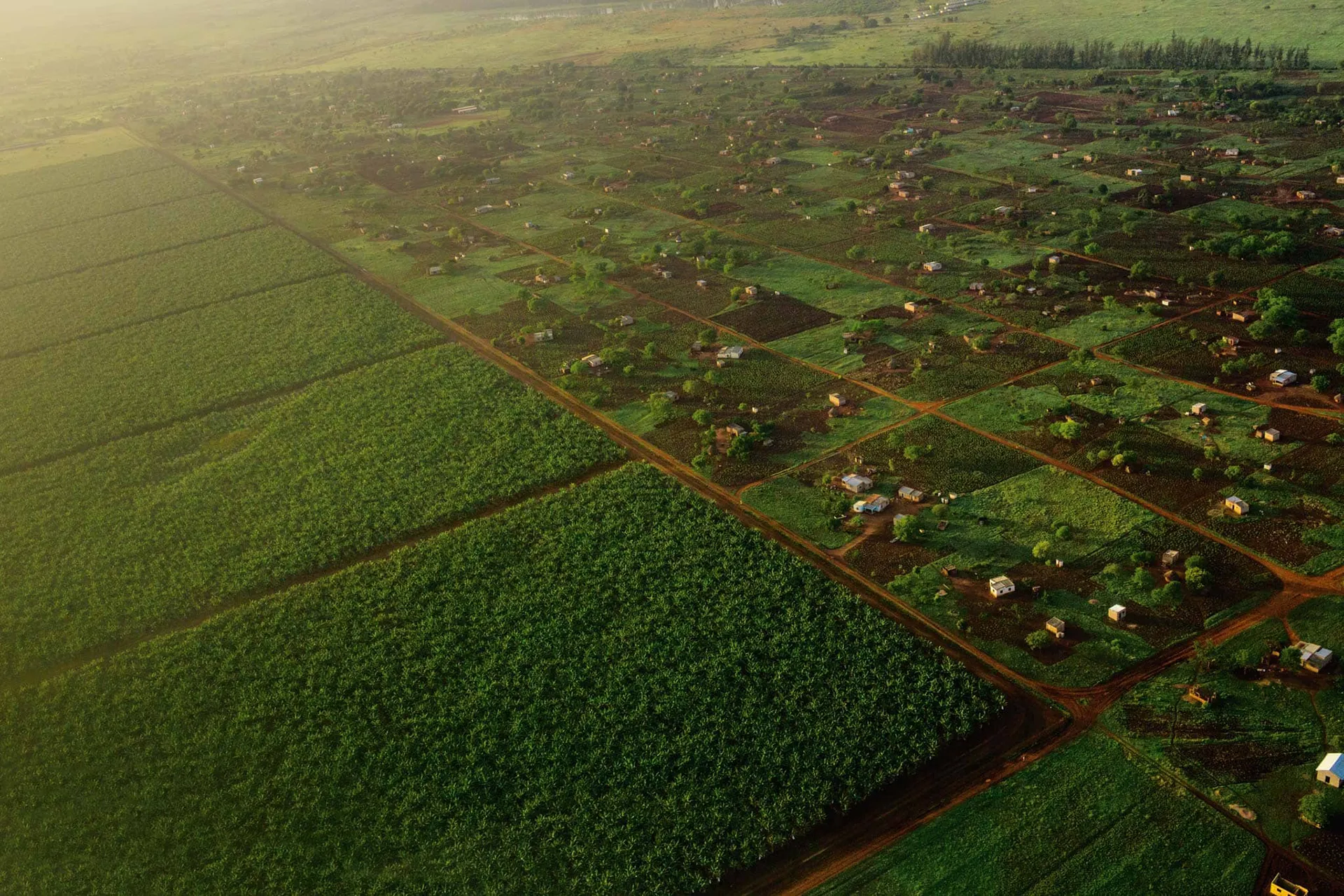 Scenic real estate background showing prime Ugandan property
