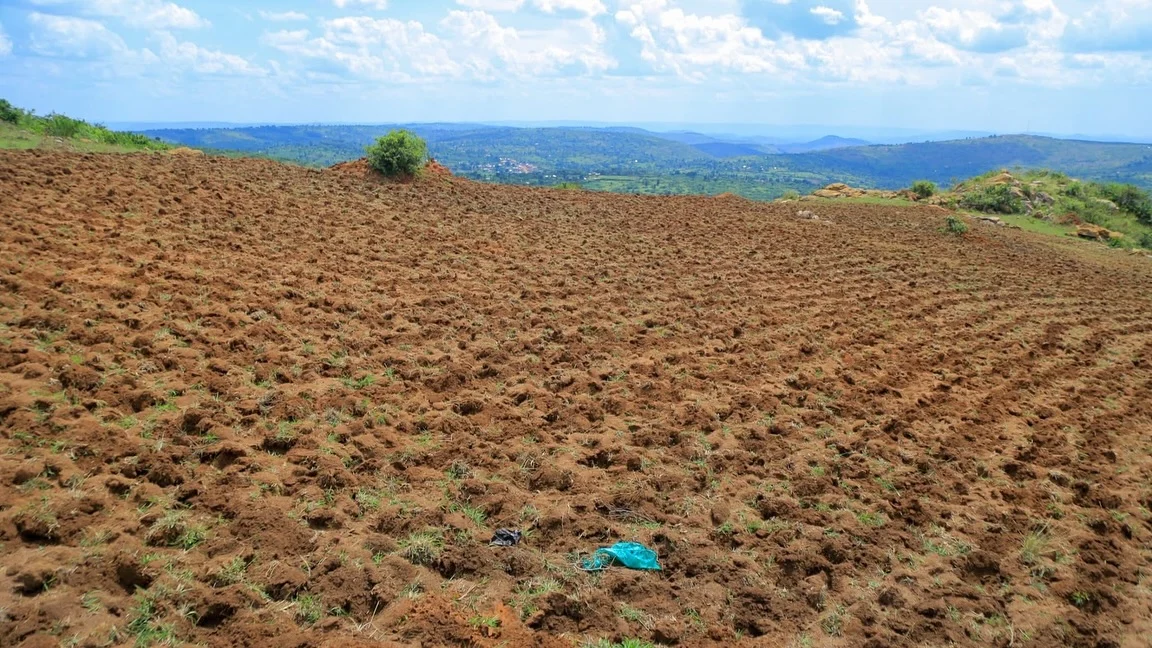 Boundary view of the land