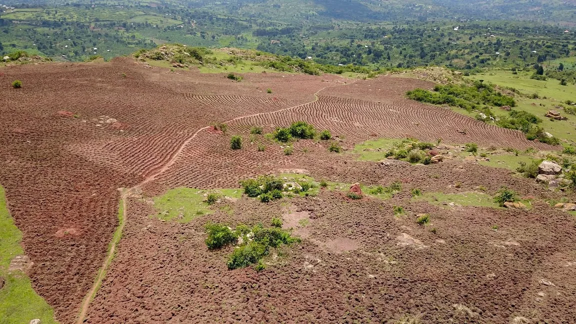8 Acres Prime Land in Gayaza-Busiika