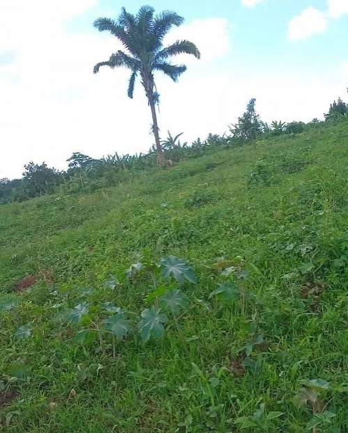 Boundary view of the land