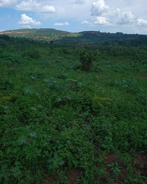 8 Acres Prime Land in Gayaza-Busiika