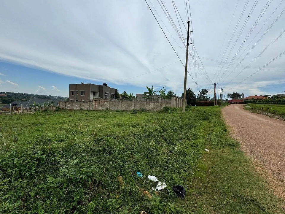 Boundary view of the land