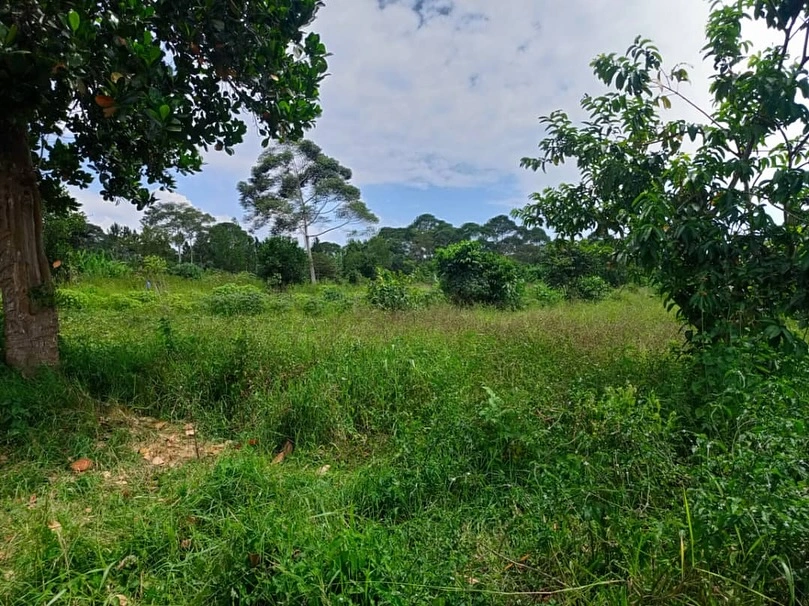 Prime Land in Mukono
