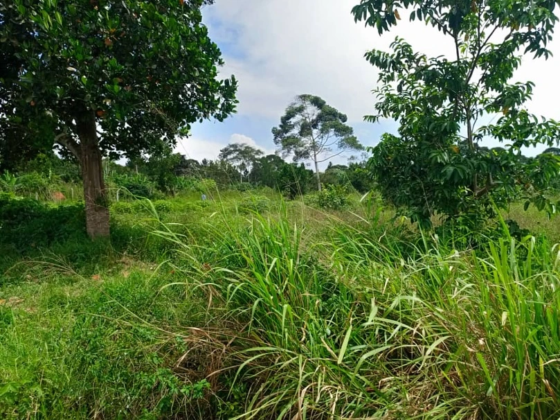Boundary view of the land